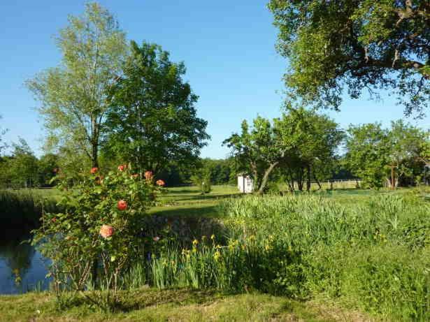 Maison Dans Belle Longere - La Serrerie Le Controis-en-Sologne ภายนอก รูปภาพ